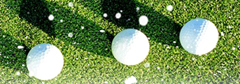 Handicap in JUNE, 2022