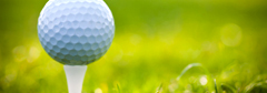 Handicap in August, 2024