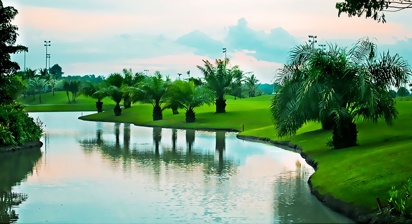Background - Home
