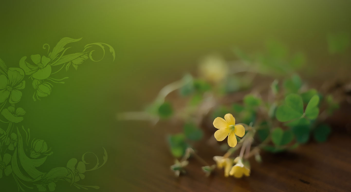 Background - F & B