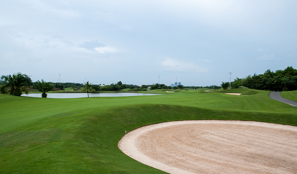 Stella Course