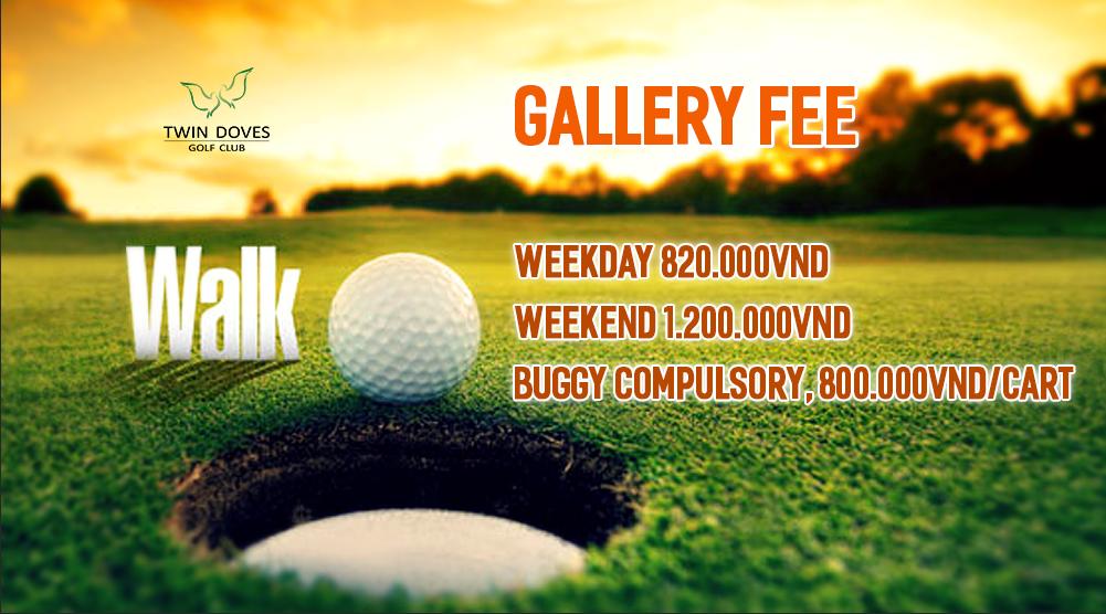 Promotion - Gallery fee