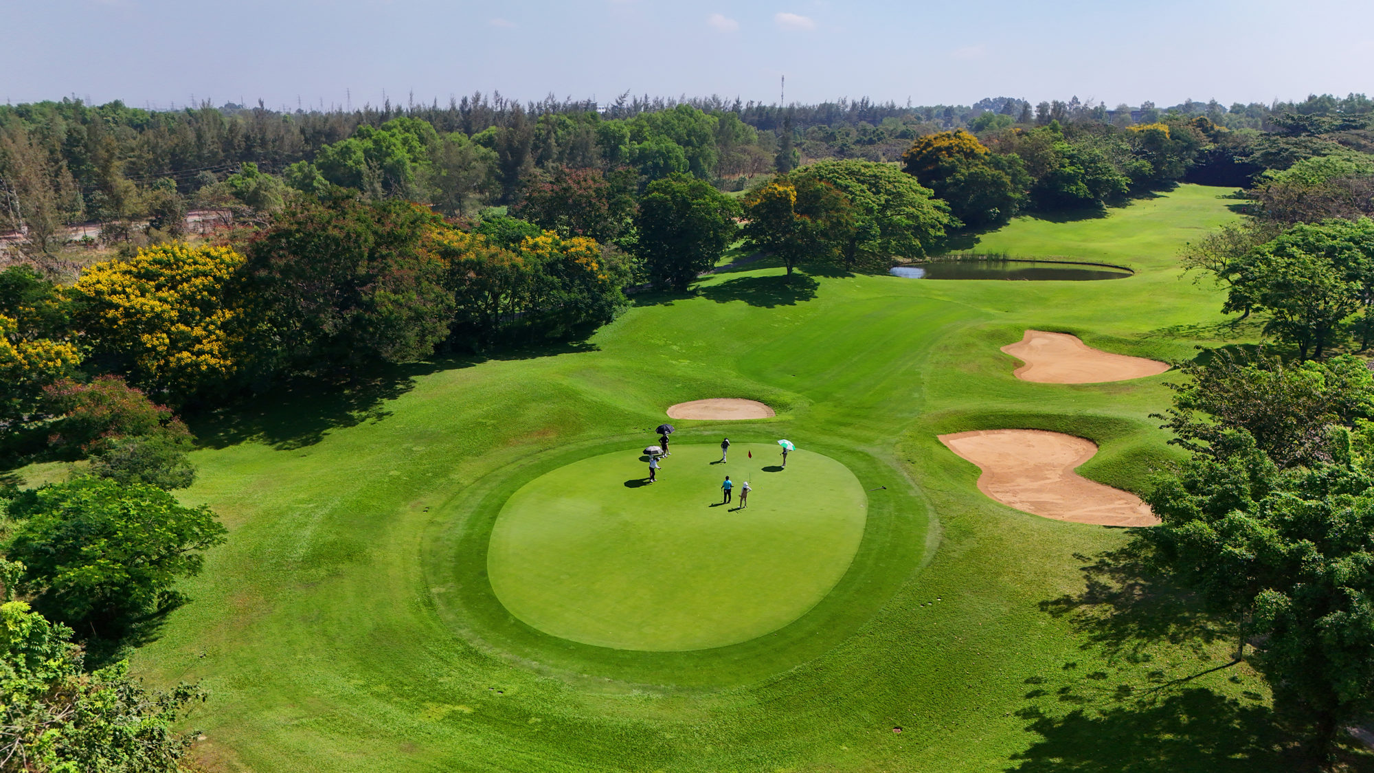 Loyalty Program — Play 12 Rounds × 18 Holes During the Month, Get 1 Free Round